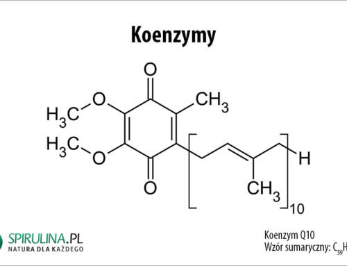 Koenzymy