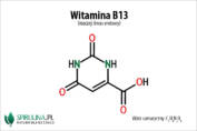 Witamina B13