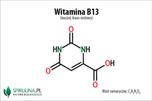 Witamina B13