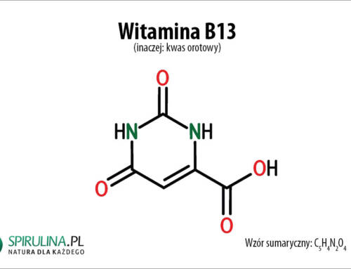 Witamina B13