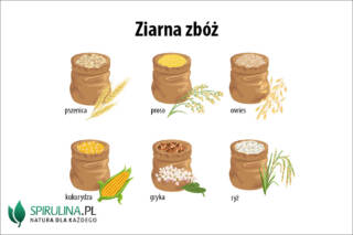 Ziarna zbóż