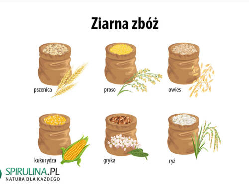 Ziarna zbóż