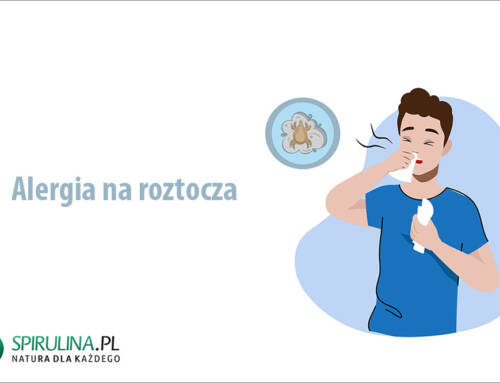 Alergia na roztocza