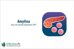 Amylina