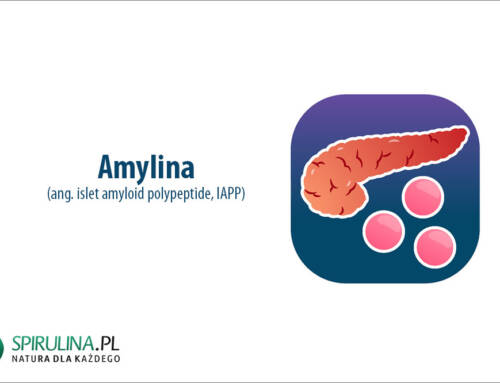 Amylina