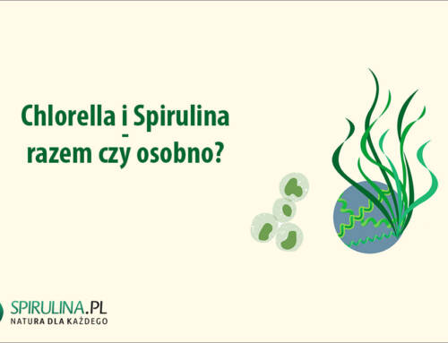 Chlorella i Spirulina – razem czy osobno?