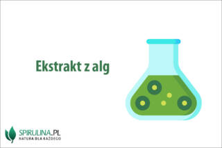 Ekstrakt z alg