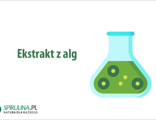 Ekstrakt z alg