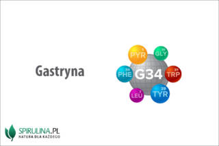 Gastryna