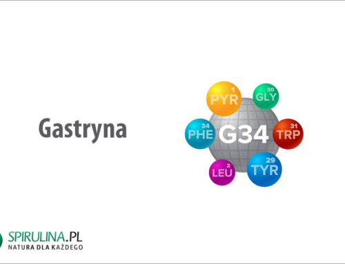 Gastryna