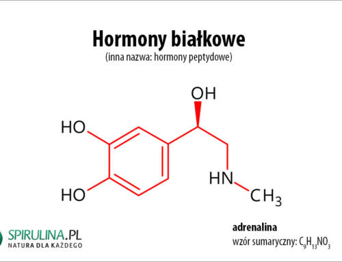 Hormony białkowe