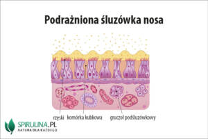 Podrażniona śluzówka nosa