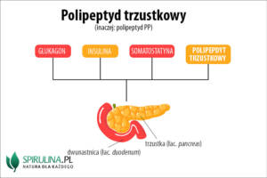 Polipeptyd trzustkowy