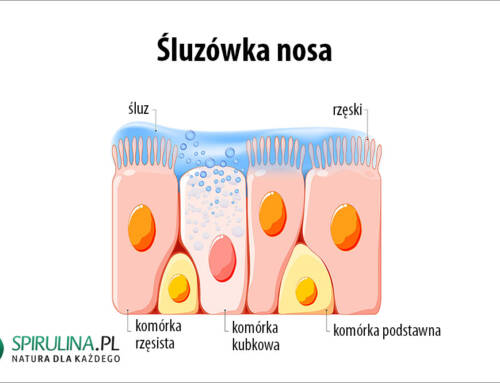 Śluzówka nosa