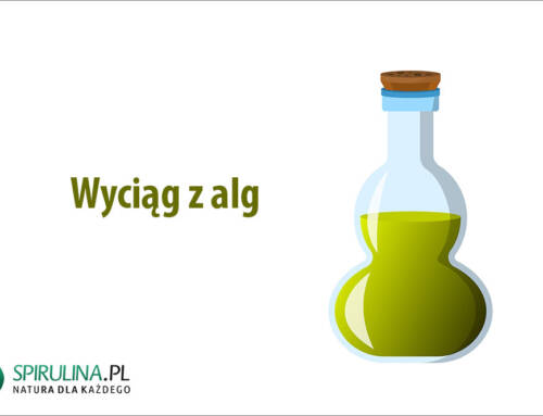 Wyciąg z alg