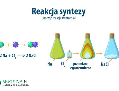 Reakcja syntezy