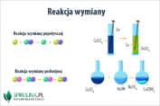 Reakcja wymiany