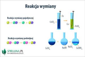 Reakcja wymiany