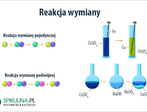 Reakcja wymiany