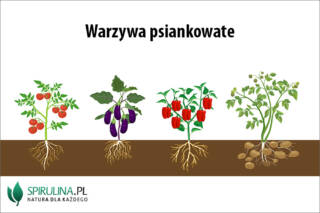 Warzywa psiankowate