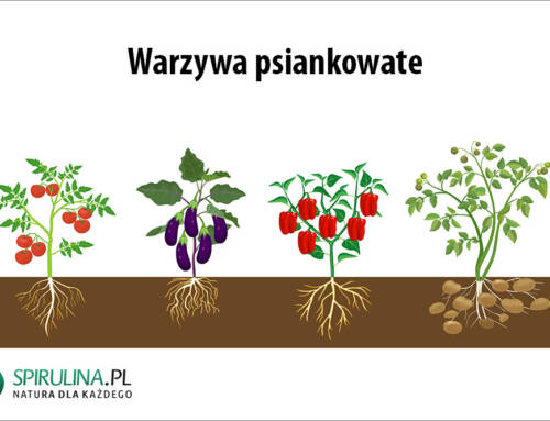 Warzywa psiankowate