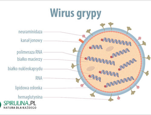 Wirus grypy