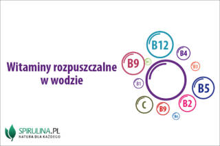 Witaminy rozpuszczalne w wodzie