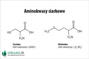 Aminokwasy siarkowe