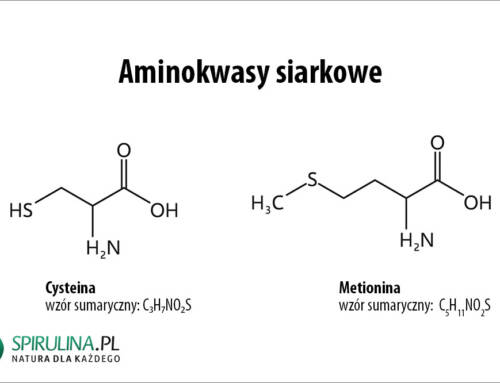 Aminokwasy siarkowe