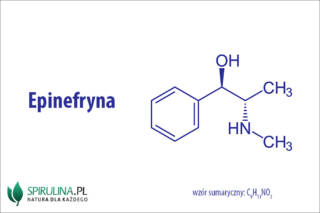 Epinefryna