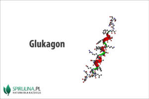 Glukagon