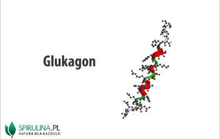 Glukagon