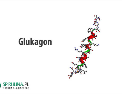 Glukagon