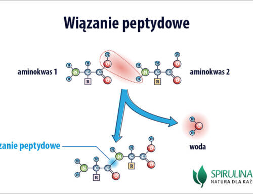 Wiązanie peptydowe