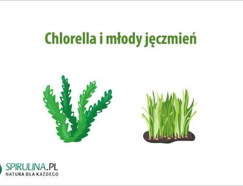 Chlorella i młody jęczmień