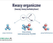 Kwasy organiczne