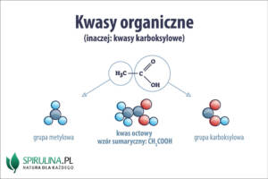 Kwasy organiczne