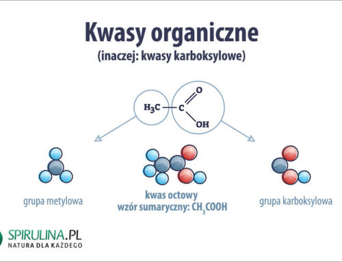 Kwasy organiczne