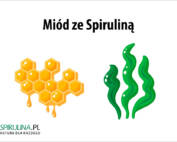 Miód ze Spiruliną