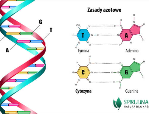 Cytozyna