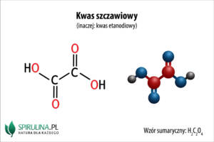 Kwas szczawiowy (kwas etanodiowy)