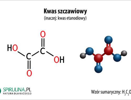 Kwas szczawiowy