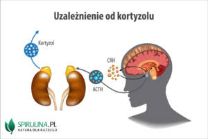 Uzależnienie od kortyzolu