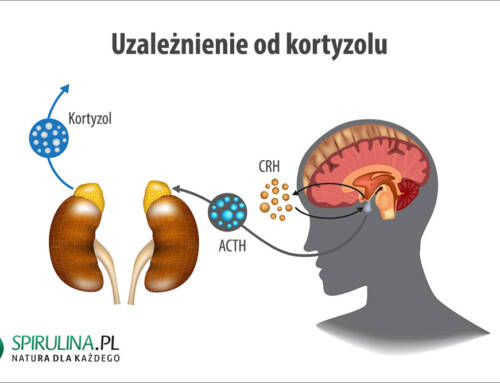 Uzależnienie od kortyzolu