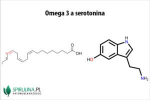 Omega 3 a serotonina