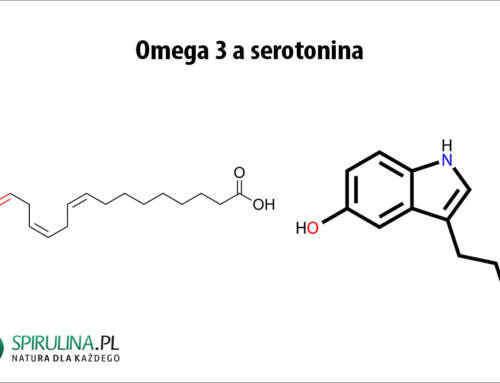 Omega 3 a serotonina